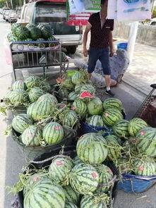 长治网红吃瓜事件